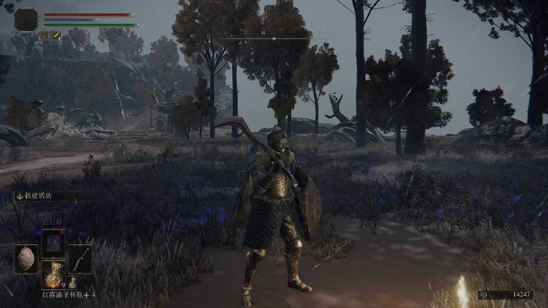 #艾尔登法环#艾尔登法环
